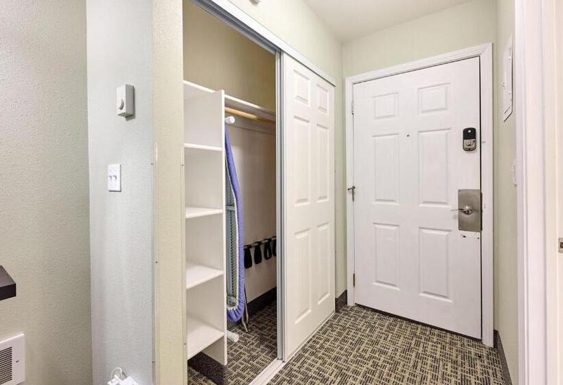 استودیوی لوکس, D Sands Rentals