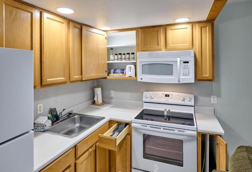 استودیوی لوکس, D Sands Rentals