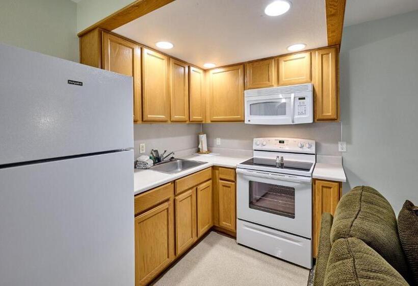 استودیوی لوکس, D Sands Rentals