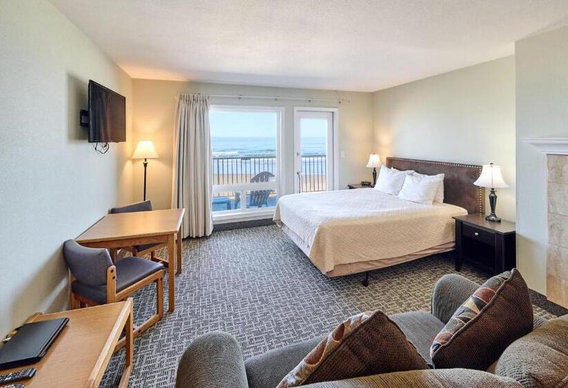 استودیوی لوکس, D Sands Rentals