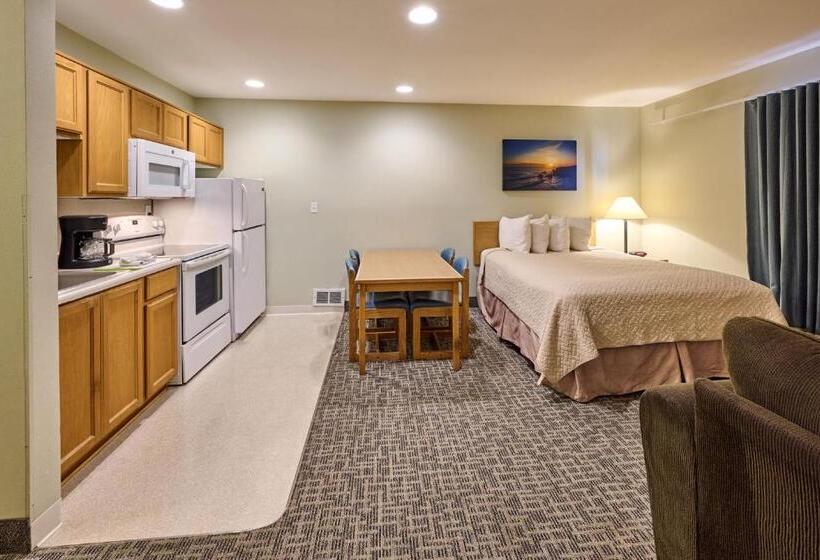 استودیو خانوادگی, D Sands Rentals