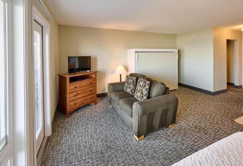 استودیو خانوادگی, D Sands Rentals