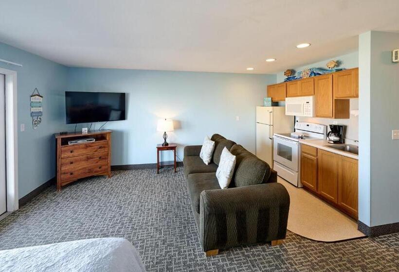 استودیوی استاندارد, D Sands Rentals