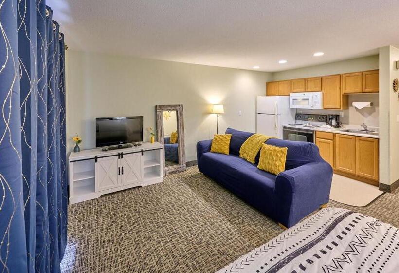 استودیوی استاندارد, D Sands Rentals