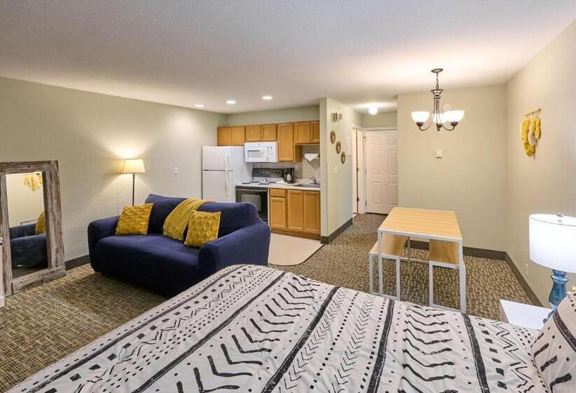 استودیوی استاندارد, D Sands Rentals