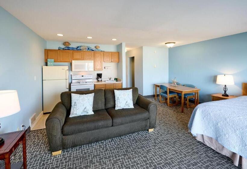 استودیوی استاندارد, D Sands Rentals