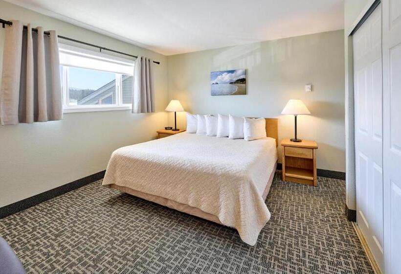 سوئیت با تخت بزرگ, D Sands Rentals