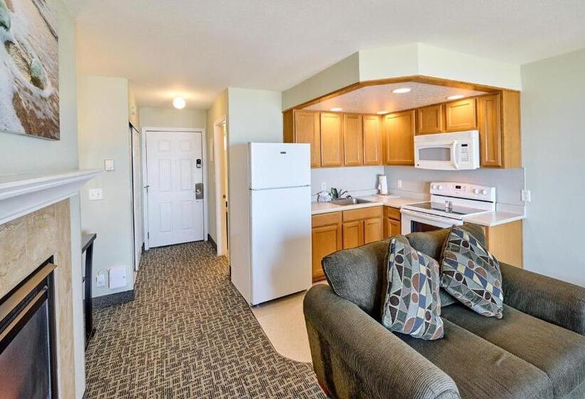 استودیوی لوکس, D Sands Rentals