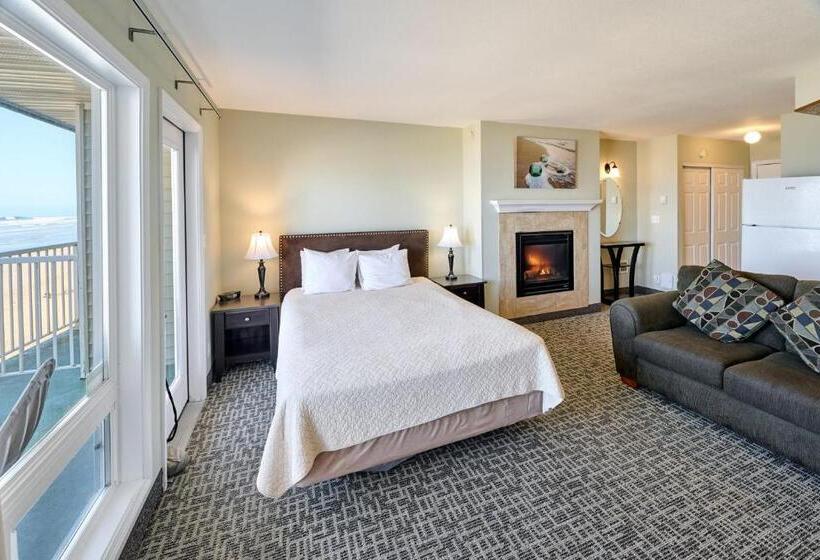 استودیوی لوکس, D Sands Rentals