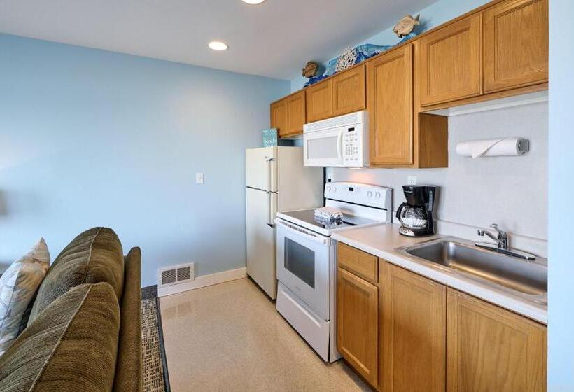 استودیوی استاندارد, D Sands Rentals