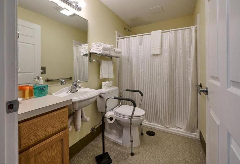 استودیوی استاندارد, D Sands Rentals