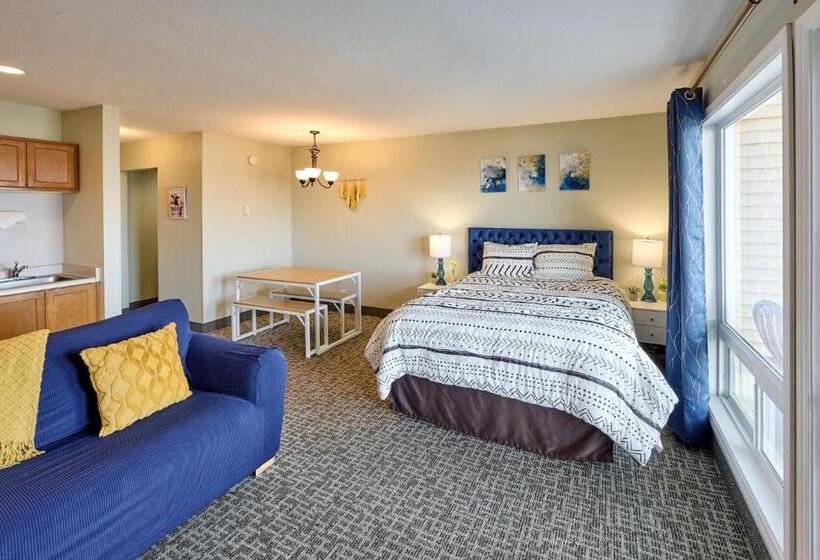 استودیوی استاندارد, D Sands Rentals