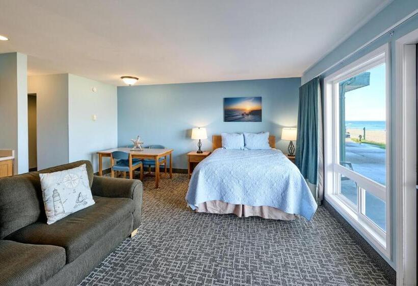 استودیوی استاندارد, D Sands Rentals