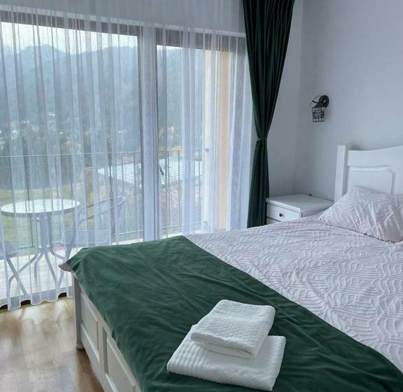 标准间带阳台, Silver Mountain Villa Colibita