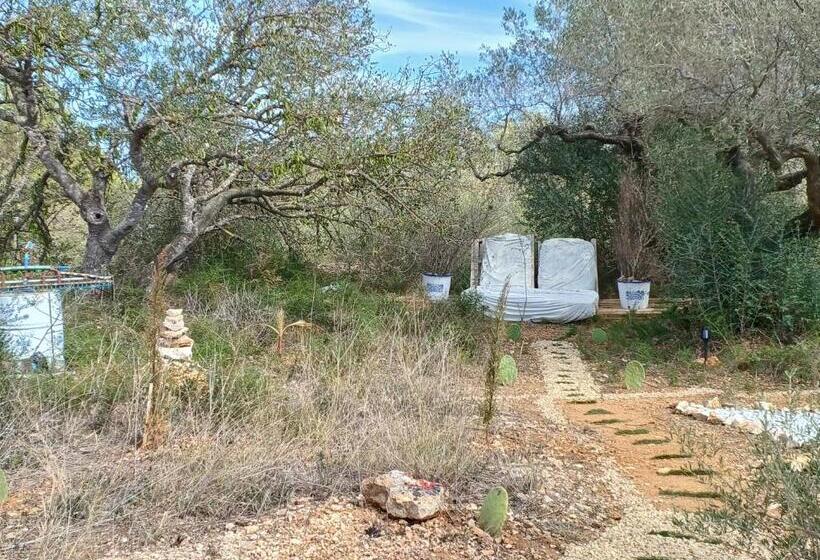 1间卧室的房子, Art Villa Claudia