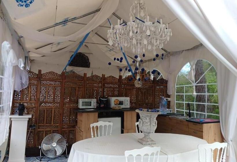 豪华工作室, Art Villa Claudia