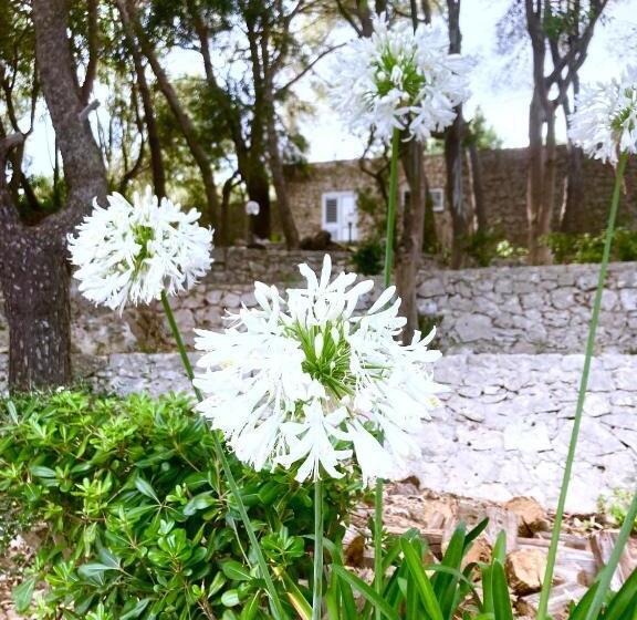 豪华海景房, Dame Del Mare