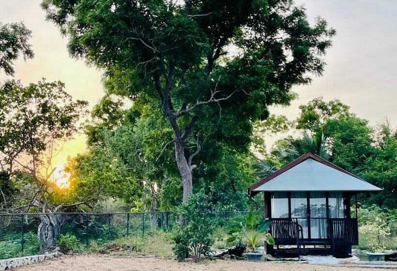 Шале 1 Спальня, Kaaya Eco Resort Yala