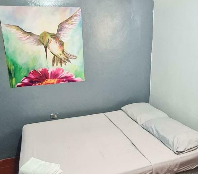 غرفة قياسية حمام مشترك, Hostal Tortuga Viajera