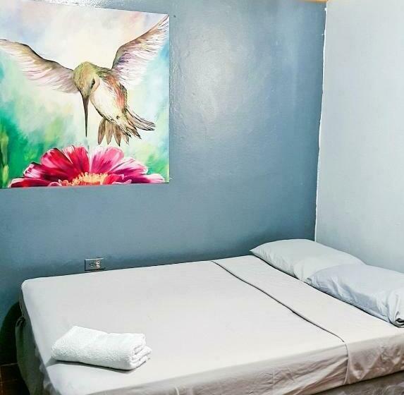 غرفة قياسية حمام مشترك, Hostal Tortuga Viajera