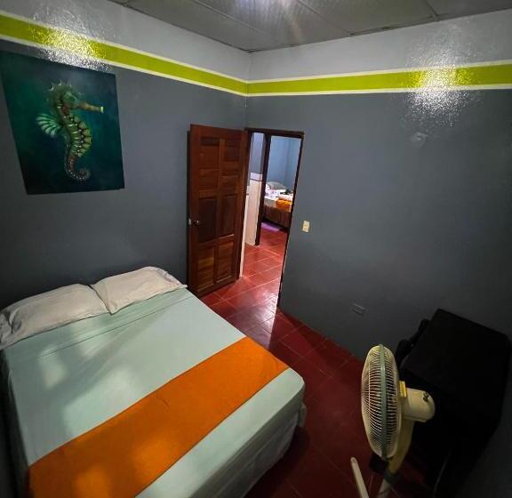 غرفة قياسية, Hostal Tortuga Viajera
