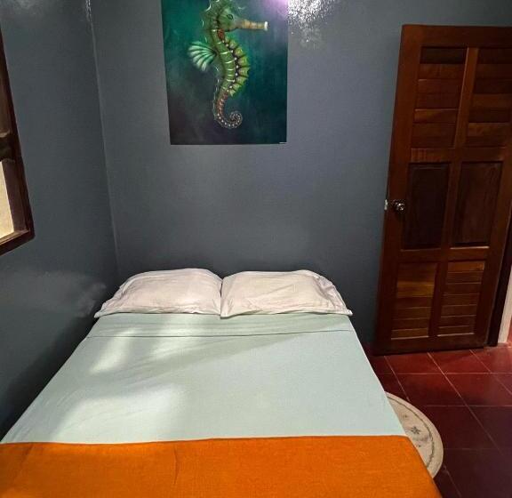 Номер Стандарт, Hostal Tortuga Viajera