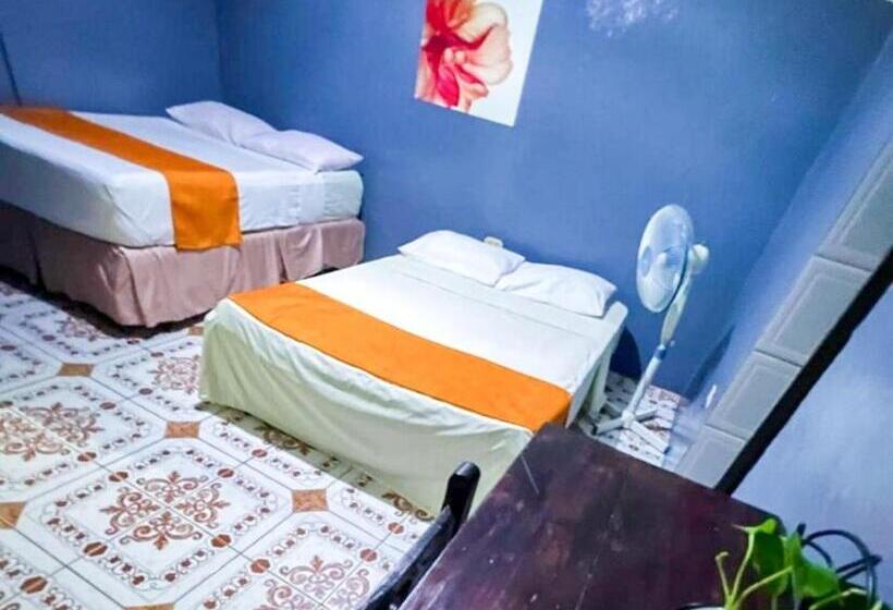 غرفة قياسية رباعية, Hostal Tortuga Viajera