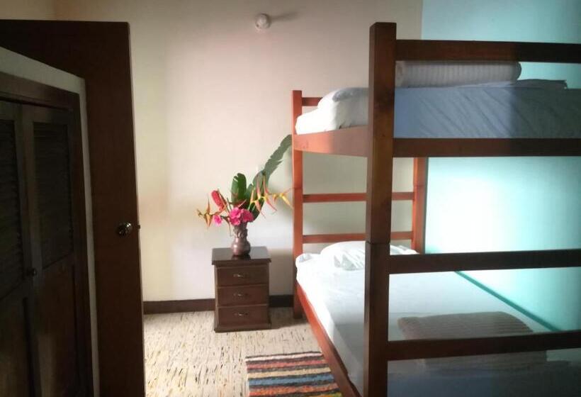 スタンダードルーム, Hostal Heliconias