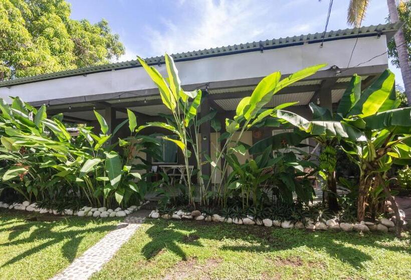 스탠다드 룸 가든 전망, La Canasta