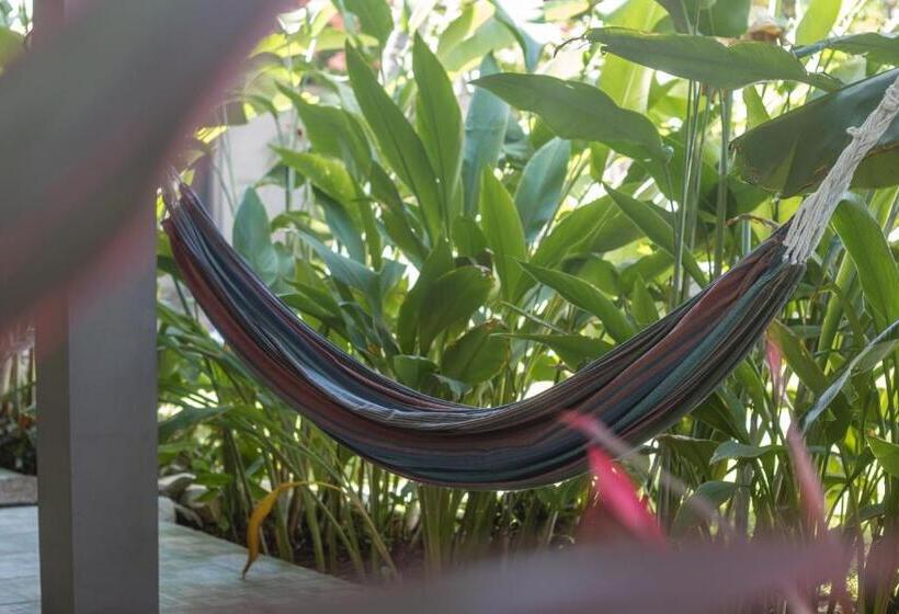 스탠다드 룸 가든 전망, La Canasta