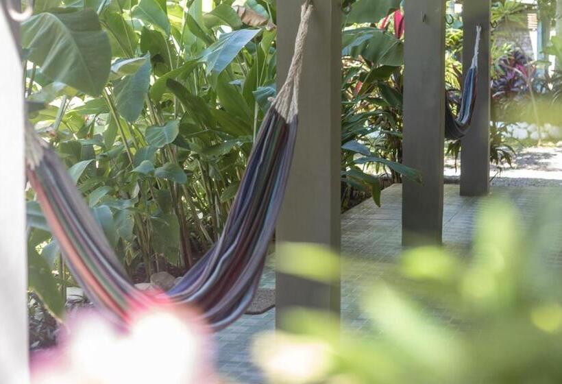 스탠다드 룸, La Canasta