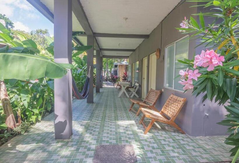 스탠다드 룸, La Canasta