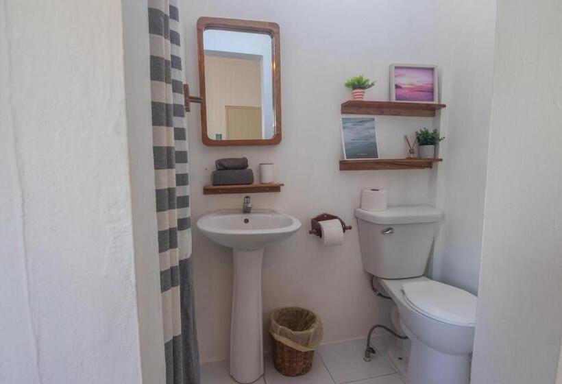 스탠다드 룸, La Canasta