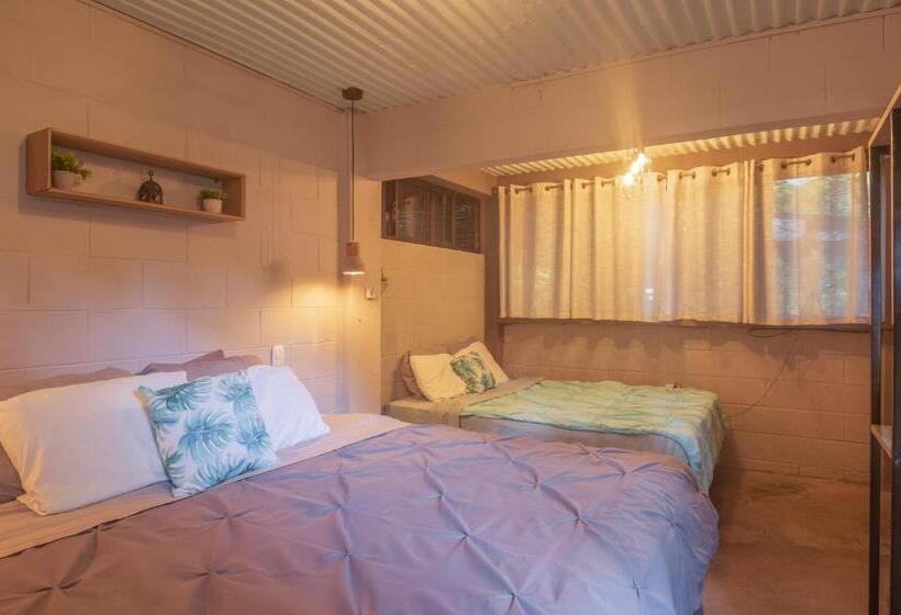 스탠다드 룸 킹사이즈 침대, La Canasta