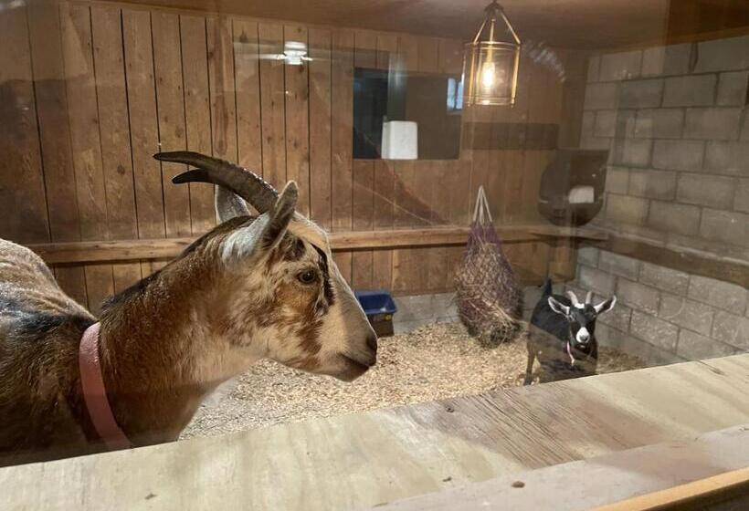 جناح مزود بتراس, Nicura Ranch Inn & Stables