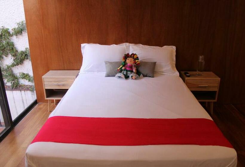 스탠다드 테라스 룸, Casa Luna Coyoacan