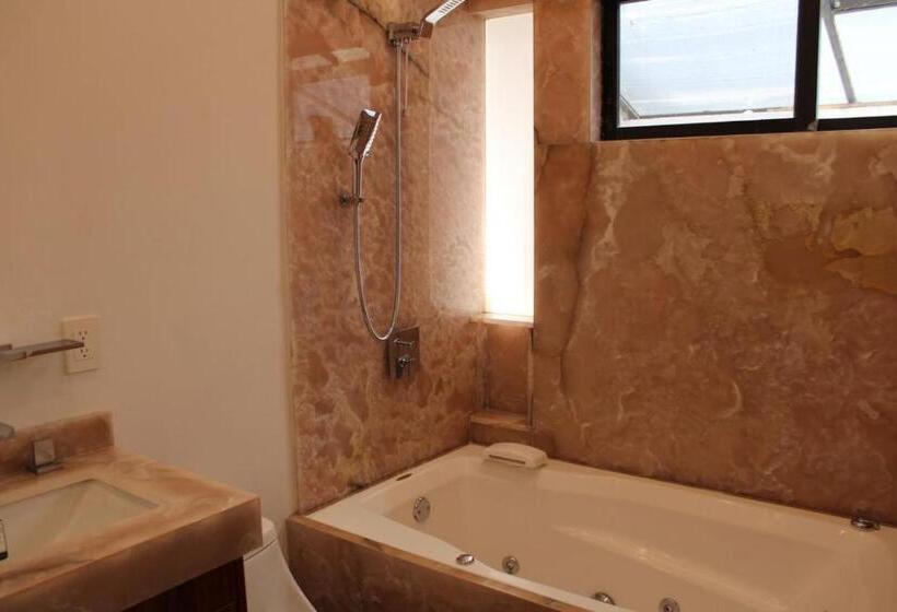 스탠다드 테라스 룸, Casa Luna Coyoacan