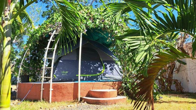 Standard Tent, Dharma Casa Holistica, Hostal, Yoga Y Retiros