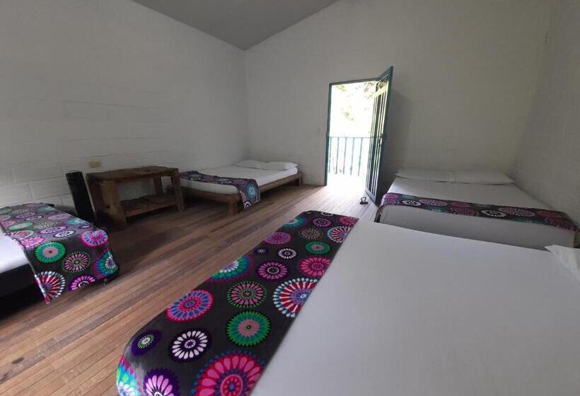 חדר משפחתי, La Posada De Las Aves