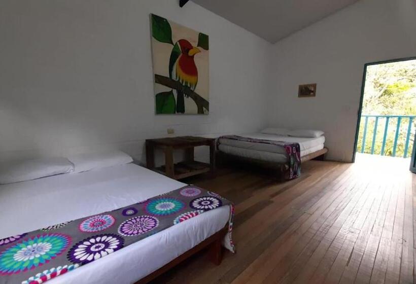 חדר משפחתי, La Posada De Las Aves