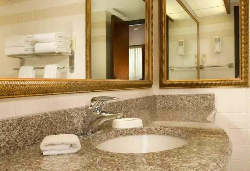 デラックスルーム, Drury Inn & Suites Joplin