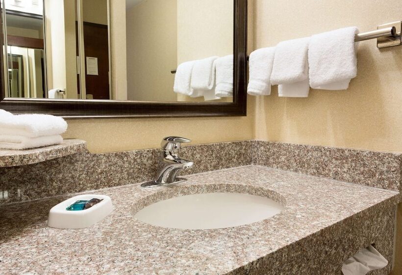 Номер Deluxe Адаптированный для Инвалидов, Drury Inn & Suites Joplin