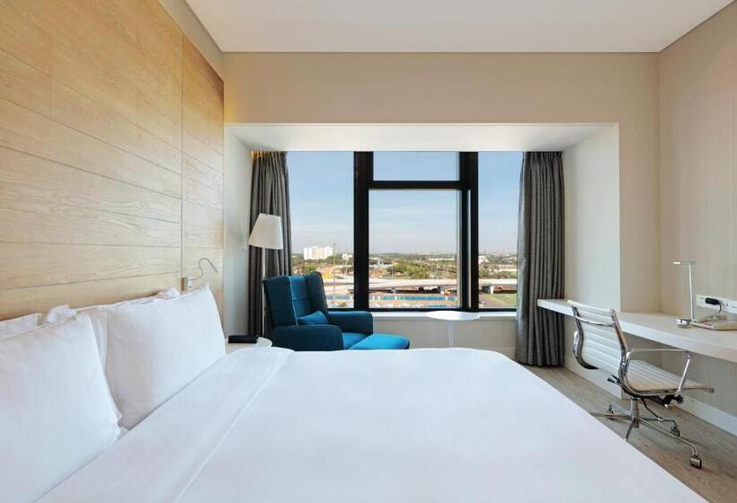 اتاق سوپریور با تخت دو نفره بزرگ, Haikou Meilan International Airport