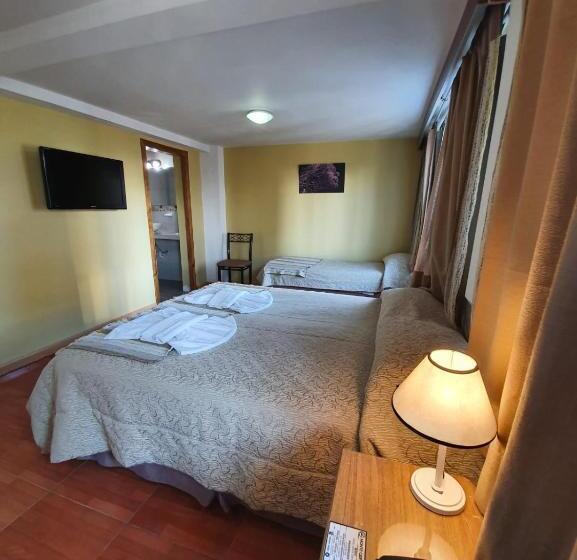 اتاق استاندارد چهار تخته, Monte Cervino