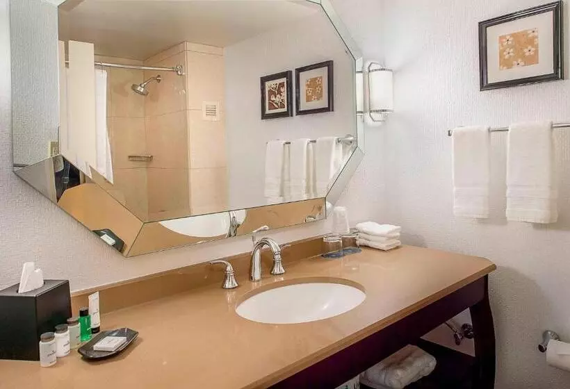 キングサイズベッドのスイートルーム, Sheraton Westport Plaza