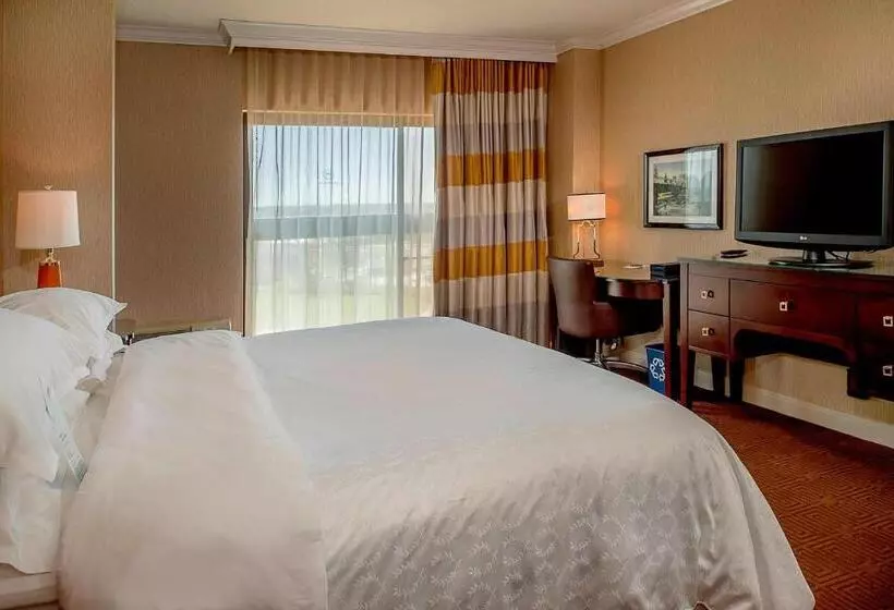 キングサイズベッドのスイートルーム, Sheraton Westport Plaza