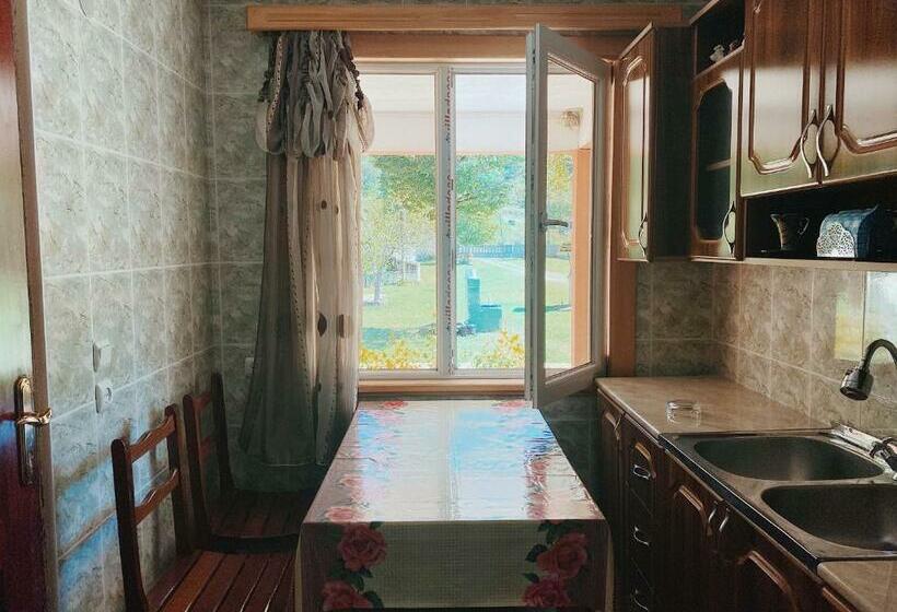 اتاق استاندارد چهارنفره با چشمانداز باغ, Matua Guest House