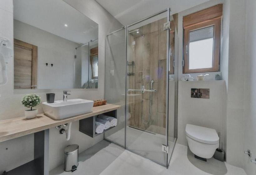 اتاق استاندارد سه نفره, Vladimir