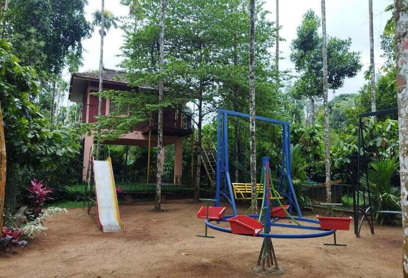 Семейный Номер, Wayanadgreenpark Resort