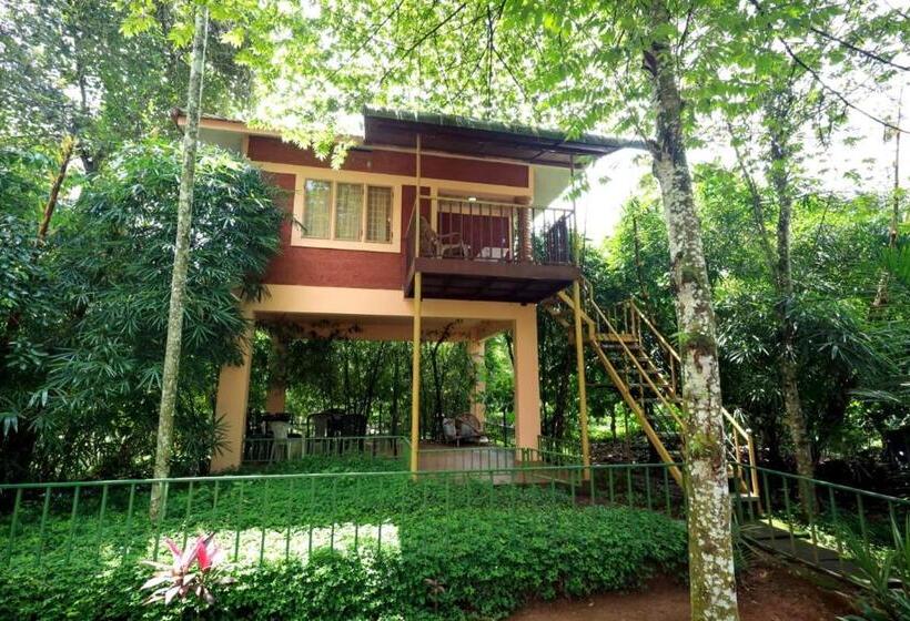 Семейный Номер, Wayanadgreenpark Resort